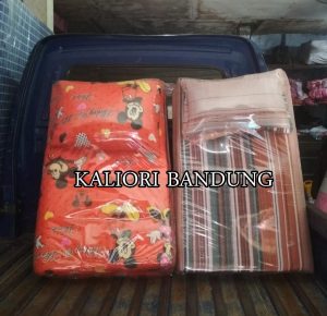Kasur Busa Ukuran 90x180x4 Sepaket Dengan Bantal